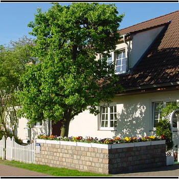 Pension An der Bleiche Pension An der Bleiche